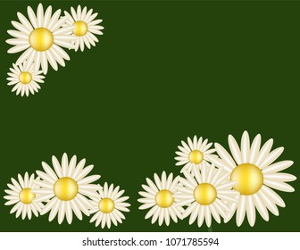 Daisies on green background