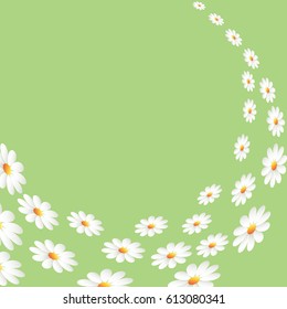 Daisies on green background. Vector illustration.