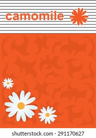 daisies on orange abstract background