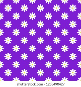 daisies on a purple background