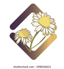  Daisies on a purple background