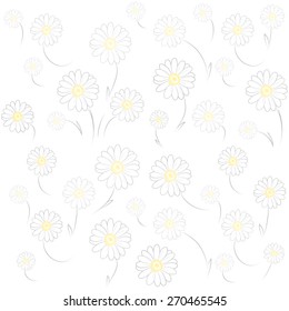 Daisies on white background 