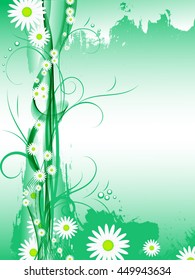 Daisies on white background flowers and petals