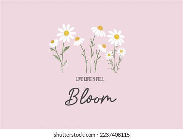 daisies pink flower hand drawn