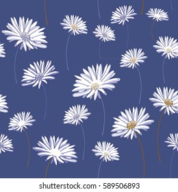 Daisies seamless pattern. Vector illustration on blue background