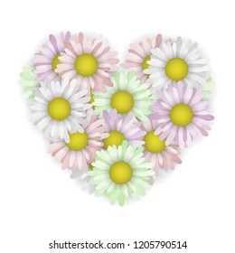 Daisies in the shape of a heart. Vector illustration. Valentine day. Multi colored flowers.
