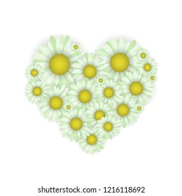Daisies in the shape of a heart. Vector illustration. Valentine day. Green flowers.