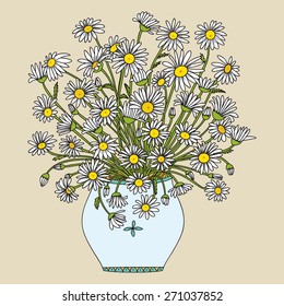 Daisies, vector illustration