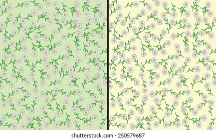 Daisies vector pattern - on a green and yellow background