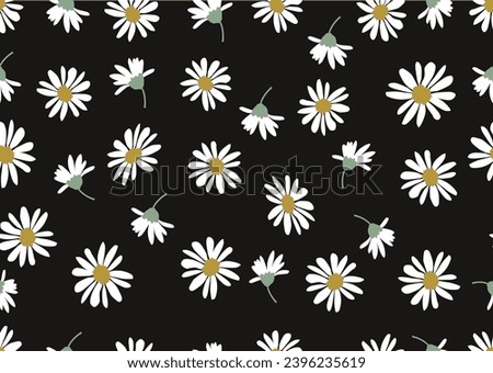 daissy graphic hand drawn design 