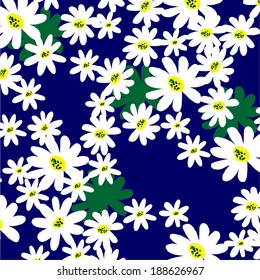 daisy