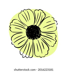 Daisy with abstract shapes hand drawn illustration. Line art. Isolated on white background.