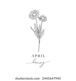 Daisy, April Birth Flower. Hand drawn birth flowers, Vector Graphics.
Floral Decorative Design Element. Birth Month, Mother’s Day, Birth Announcement, Baby Gift, T-shirt design, Print.