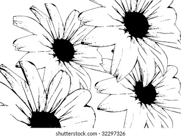 daisy background