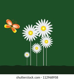 daisy and beauty butterfly with green background