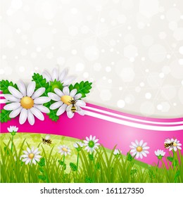 Daisy with bees card