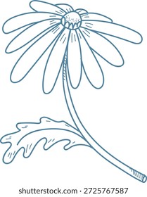 Floración de margaritas con tallo curvo, pétalos largos y centro texturizado dibujado en líneas limpias. Símbolo de pureza, naturaleza y sentimiento tranquilo para el bienestar y temas ecológicos. Ilustración vectorial de dibujos animados.