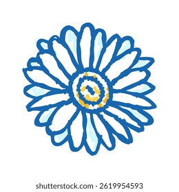 daisy blossom spring doodle icon sketch vector. daisy blossom spring sign. isolated symbol illustration