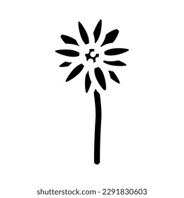 daisy blossom spring glyph icon vector. daisy blossom spring sign. isolated symbol illustration