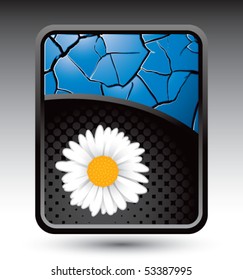 daisy blue cracked background