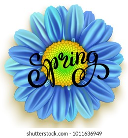 Daisy Blue Flower and Spring Hand Lettering isolated on white. Vector illustration 