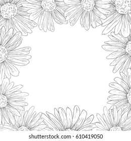 Daisy Border Background