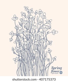 Daisy bouquet. Forest flowers. Vector floral artwork. Blue gray, beige colors