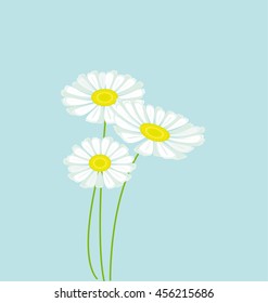 daisy bouquet on blue color background vector illustration. decorative love floral chamomile element. Background of floral pattern with daisies. 