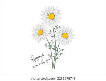 daisy butterfly hand drawn design vector