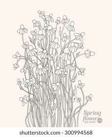 Daisy, camomile, chamomile wild forest flowers bouquet. Vector. Hand drawn artwork. Love concept for wedding invitations, cards, tickets, congratulations. Black and white, gray, beige