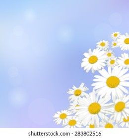 Daisy, camomile on  blue  background. White flowers chamomile, gerbera closeup. Nice image, wallpaper, elegant greeting card, invitation, interior design picture