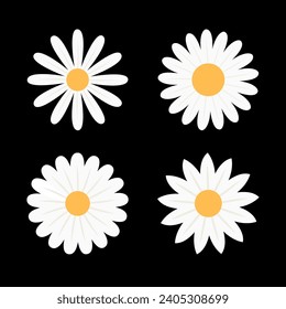 Daisy Chamomile. Un icono de cuatro manzanas blancas. Colección de plantas de flores redondas. Símbolo de la tarjeta de amor. Concepto creciente. Estilo natural. Aislado. Fondo negro. Diseño plano. Ilustración del vector