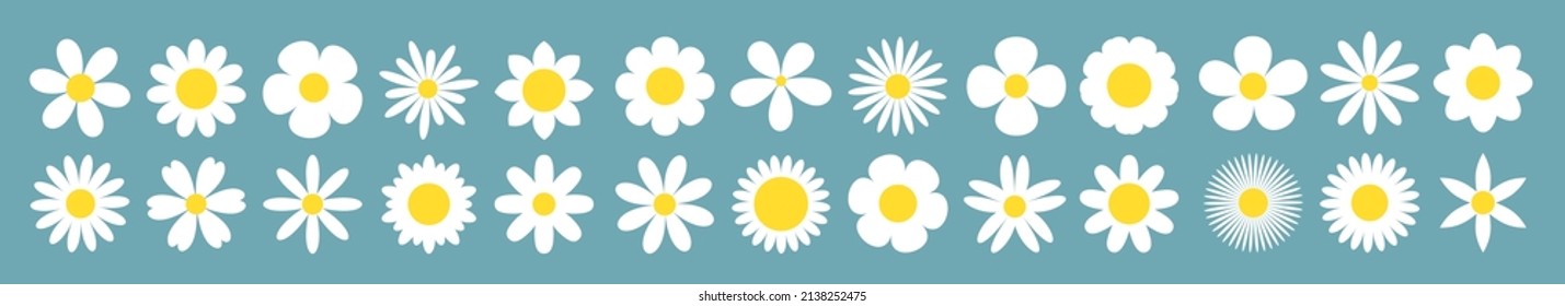 Daisy Camomile super big line set. White chamomile icon. Growing concept. Cute round flower plant collection. Love card symbol. Flat design. Isolated. Blue background. Vector illustration