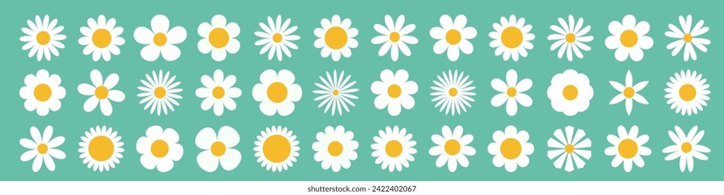 Daisy Camomile super big set. White chamomile icon. Growing concept. Cute round flower plant collection. Love card. 36 sign symbol shape. Flat design. Isolated. Green background. Vector illustration