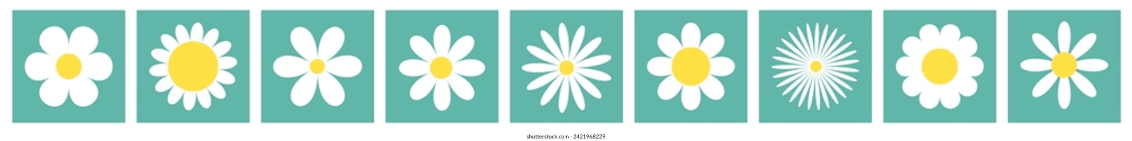 Daisy camomile. White chamomile icon set line. Square green shape frame silhouette. Cute flower plant. Love card. Cartoon kawaii funny collection. Growing concept. Flat design. White background Vector
