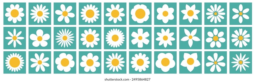 Daisy Chamomile big set. White camomile square icon. Growing concept. Cute round flower plant collection. Love card. 30 sign symbol. Different shape. Flat design. Green background. Isolated. Vector