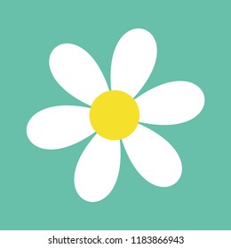 Daisy chamomile. Cute flower plant collection. White camomile icon. Love card. Growing concept. Flat design. Isolated. Green background. Vector illustration