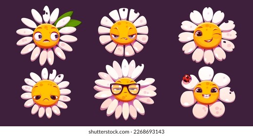 Daisy chamomile face emotions cartoon vector set. Isolated camomile flower character with bitten petal and mood expression. Comic groovy smile, sad, distrustful and cheerful bloom plant head.