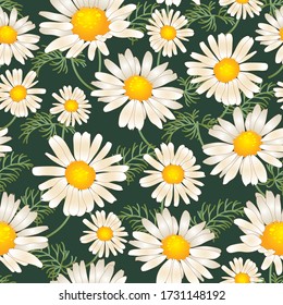 Daisy chamomile field meadow spring summer flowers seamless pattern. Trendy ditsy floral texture for print, fashion, textile, fabric, decoration, wrapping.