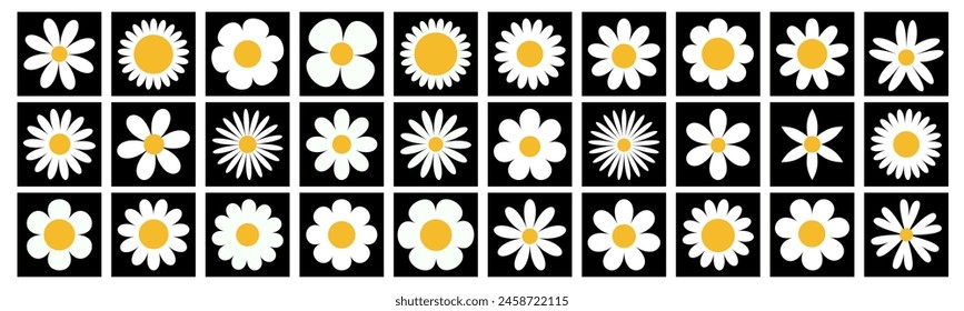 Daisy chamomile flower big set. White camomile square icon. Growing concept. Cute round plant collection. Love card. 30 sign symbol shape form. Flat design. Black background. Isolated. Vector