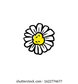 Daisy chamomile flower doodle isolated on white background vector illustration. Hand drawn camomile icon glyph symbol