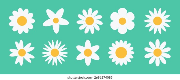 Daisy chamomile flower icon collection vector.