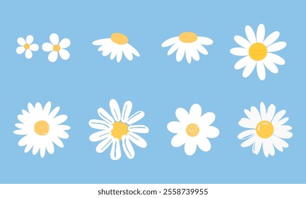 Daisy chamomile flower icons set isolated on white background vector.