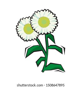 Daisy, chamomile flower isolated; vector.