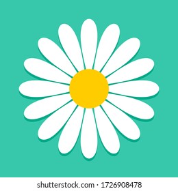 Daisy Chamomile Flower on a Blue-Green Background Icon. Vector Image.