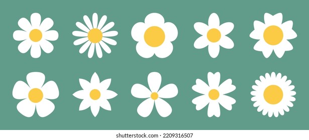 Daisy chamomile flower petals set