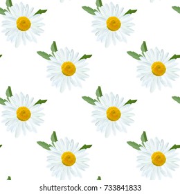 Daisy. Chamomile flowers with leaves, vector floral texture.