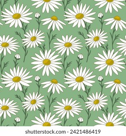 Daisy chamomile flowers in the meadow, spring summer seamless vector pattern. Trendy floral texture for print, fashion, textile, fabric, decorative background, packaging