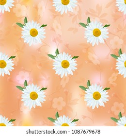 Daisy. Chamomile flowers on abstract floral background, seamless texture, vector.