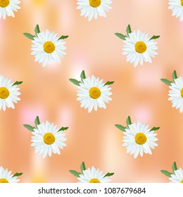 Daisy. Chamomile flowers on brown abstract background, seamless texture, vector.